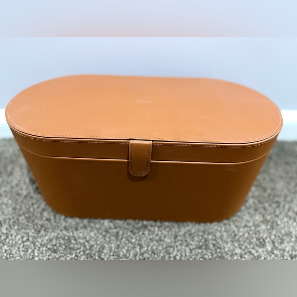 Dyson case only
